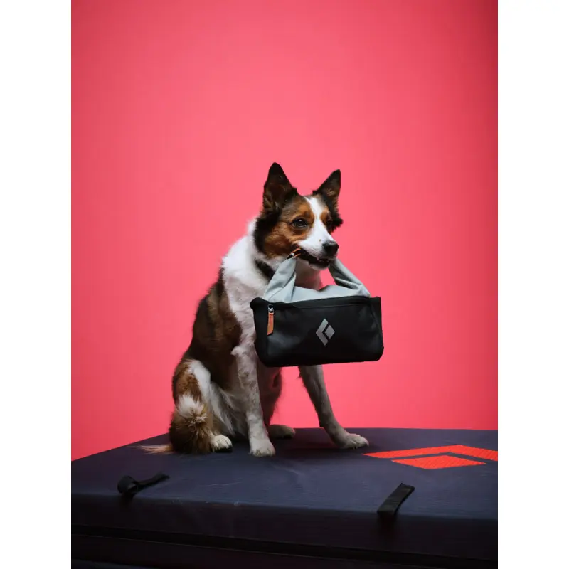 20251202_Holiday+Dogs_025.webp