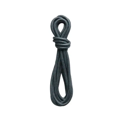 BD INFINITY CORD